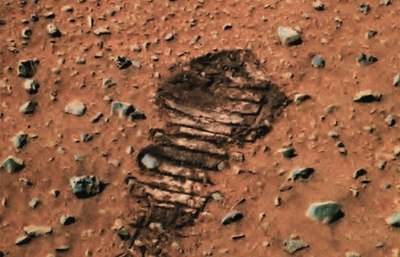 Martian tire tread