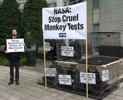 PETA protest