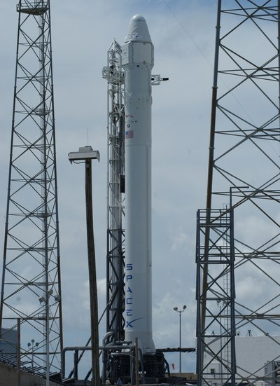 Falcon 9 on the pad