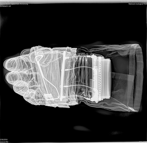 spacesuit glove x-ray