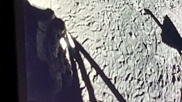 Apollo 11 image