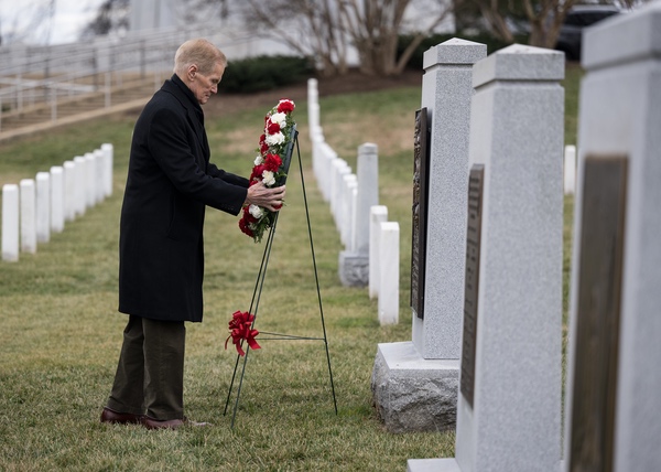 Nelson at Arlington