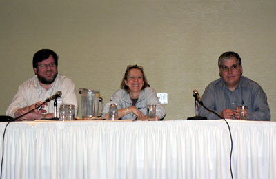 SA'07 finance panel